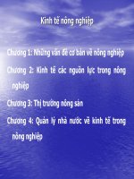 Bài giảng kinh tế nông nghiệp chương 1, những vẫn đề cơ bản trong nông nghiệp