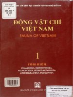 Động vật chí Việt Nam. Tập 1. Tôm biển. Penaeoidea, Nephropoidea, Palinuroidea, Gonodactyloidea, Lysiosquilloidea, Squilloidea