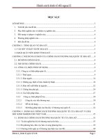 Chính sách thương mại quốc tế của hoa kì và bài học cho việt nam