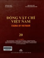 Động vật chí Việt Nam. Tập 20. Cá biển