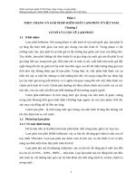 Tiểu luân Kiểm soát lạm phát ở Việt Nam, thực trạng và giải pháp. Khủng hoảng tài chính 2008