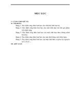 Sáng kiến kinh nghiệm –Hướng dẫn học sinh nắm vững các công thức hóa học