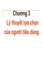 Bài giảng kinh tế vi mô chương 3, Lý thuyết lựa chọn của người tiêu dùng