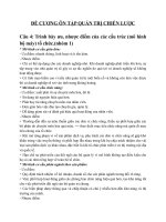 Tài liệu thi môn quản trị chiến lược