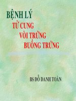 Giáo trình bệnh lý tử cung vòi trứng buồng trứng, BS.Đỗ Danh Toàn