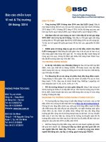BSC_Báo cáo Chiến lược Vĩ mô & Thị trường 09 tháng 2014