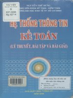 Hệ thống thông tin kế toán - Lý thuyết, bài tập và bài giải