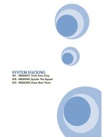Tiểu luận môn an toàn bảo mật thông tin SYSTEM HACKING