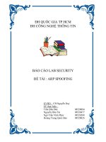 BÁO CÁO LAB SECURITY ARP SPOOFING