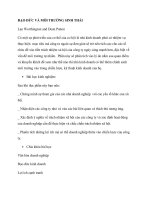 ĐẠO ĐỨC VÀ MÔI TRƯỜNG SINH THÁI TRONG KINH DOANH