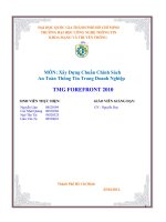 Xây Dựng Chuẩn Chính Sách An Toàn Thông Tin Trong Doanh Nghiệp TMG FOREFRONT 2010