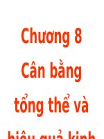 Bài giảng kinh tế vi mô chương 8, Cân bằng tổng thể và hiệu quả kinh tế