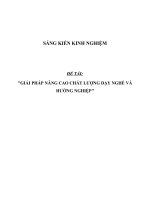 SKKN Giải pháp nâng cao chất lượng dạy nghề và hướng nghiệp