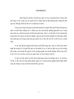 Phân tích rủi ro khi hàng may mặc Việt Tiến thâm nhập thị trường Đức