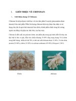 tính toán khối lượng chitosan thu hồi