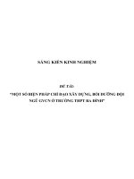 SKKN Một số biện pháp chỉ đạo xây dựng, bồi dưỡng đội ngũ GVCN ở trường THPT Ba Đình