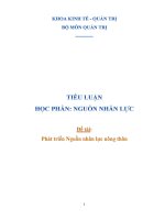 PHÁT TRIỂN NGUỒN NHÂN LỰC NÔNG THÔN