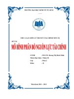 iểu luận Trình bày mô hình phân bổ nguồn lực tài chính.