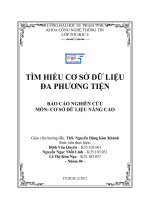 tìm hiểu cơ sở dữ liệu đa phương tiện