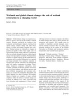 Wetlands and global climate change