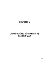 Giáo trình cộng hưởng từ gan và hệ đường mật