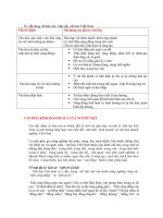 Các nội dung cơ bản của bản sắc văn hóa Việt Nam