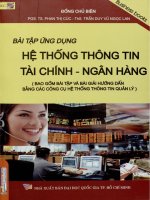 Bài tập ứng dụng hệ thống thông tin tài chính - ngân hàng