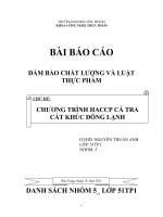 CHƯƠNG TRÌNH HACCP CÁ TRA CẮT KHÚC ĐÔNG LẠNH