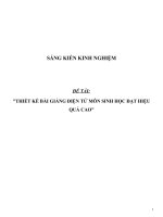 SKKN Thiết kế bài giảng điện tử môn Sinh học đạt hiệu quả cao