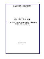 Báo cáo tổng hợp quy hoạch bảo vệ môi trường tỉnh vĩnh phúc đến 2015