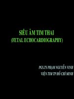Siêu âm sản, tim thai 1, PGS.TS Phạm Nguyễn Vinh, viện tim TPHCM