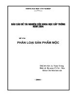 báo cáo đề tài phân loại sản phẩm mộc