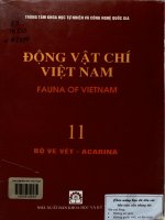 Động vật chí Việt Nam. Tập 11. Bộ Ve bét - Acarina