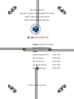 đề tài sữa chua ăn