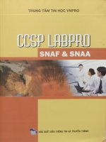 Giáo trình CCSP LabPro SNAA