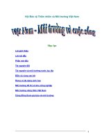 Việt Nam - Môi trường và cuộc sống