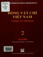 Động vật chí Việt Nam. Tập 2 Cá biển Phân bộ cá Bống - Gobioidei