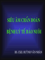 Giáo trình siêu âm chẩn đoán bệnh lý tế bào nuôi, BS.CKII.Huỳnh Văn Nhàn