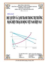 Tiểu luận Độc quyền và cạnh tranh trong thị trường mạng điện thoại di động Việt Nam hiện nay