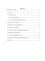 Tiểu luận  vai trò văn hóa đối với hiệu quả hoạt động tổ chức