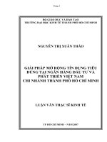 giải pháp mở rộng tín dụng tiêu dùng tại BIDV TP hồ chí minh