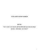 SKKN Sưu tầm và sử dụng kênh hình để dạy bài 20 (thực hành) - Sinh học 10 cơ bản