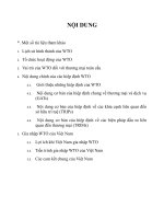 Viet Nam va Tổ chức thương mại thế giới   WTO