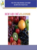 Bài giảng môn cây dược liệu   chương 3 nhóm cây dược liệu chứa glycoside flavonoid