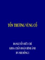 Giáo trình siêu âm tổn thương vùng cổ, BS.Nguyễn Hữu Trí, khoa siêu âm bệnh viện nhi đồng I