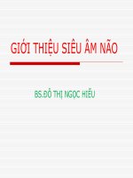 Giáo trình siêu âm não, BS. Đỗ Thị Ngọc Hiếu.PPT