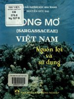 Rong mơ Việt Nam - Nguồn lợi và sử dụng