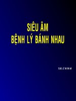 Giáo trình siêu âm bệnh lý bánh nhau, TS.BS. Lê Thị Thu Hà