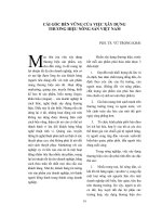 Cái gốc bền vững của việc xây dựng thương hiệu nông sản Việt Nam