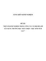 SKKN Một số kinh nghiệm trong công tác xã hội hóa để xây dựng trường học thân thiện - học sinh tích cực